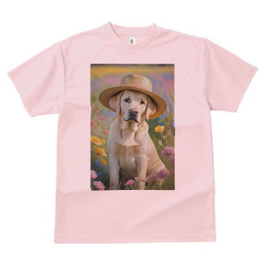 uh[go[ TVc  j[NfUCfB[X t@  t vg lJWA 킢 lԗp Mtg I ҏ΍ Xq uh[go[ 