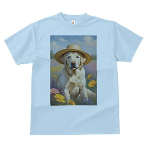 uh[go[ TVc  j[NfUCfB[X t@  t vg lJWA 킢 lԗp Mtg I ҏ΍ Xq uh[go[ 