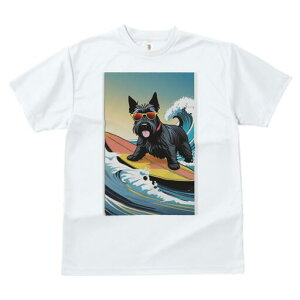 XReBbVeA TVc  j[NfUCfB[X t@  t vg lJWA 킢 lԗp Mtg I ҏ΍ T[tB XReBbVeA 