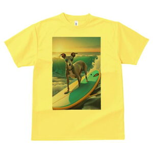 C^AO[nEh TVc  j[NfUCfB[X t@  t vg lJWA 킢 lԗp Mtg I ҏ΍ T[tB C^AO[n