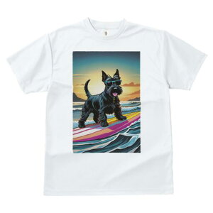 XReBbVeA TVc  j[NfUCY LbY t@  t vg lJWA 킢 lԗp Mtg I ҏ΍ T[tB XReBbVe