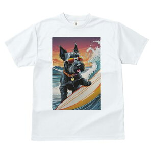 XReBbVeA TVc  j[NfUCfB[X t@  t vg lJWA 킢 lԗp Mtg I ҏ΍ T[tB XReBbVeA 