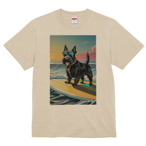 XReBbVeA TVc  j[NfUCY LbY t@  t vg lJWA 킢 lԗp Mtg I ҏ΍ T[tB XReBbVe