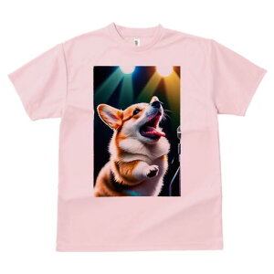 R[M[ TVc  j[NfUCfB[X t@  t vg lJWA 킢 lԗp Mtg I ҏ΍ Xe[W R[M[ Cg }CN