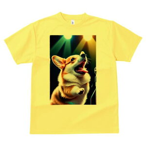 R[M[ TVc  j[NfUCfB[X t@  t vg lJWA 킢 lԗp Mtg I ҏ΍ Xe[W R[M[ Cg }CN