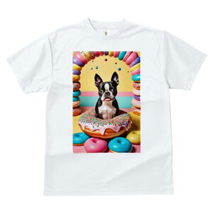 {XgeA TVc  j[NfUCfB[X t@  t vg lJWA 킢 lԗp Mtg I ҏ΍ h[ic {XgeA XC[c َq