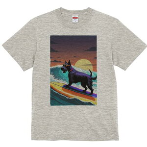 XReBbVeA TVc  j[NfUCY LbY t@  t vg lJWA 킢 lԗp Mtg I ҏ΍ T[tB XReBbVe