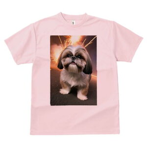 V[Y[ TVc  j[NfUCfB[X t@  t vg lJWA 킢 lԗp Mtg I ҏ΍ ԉ V[Y[