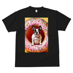 {XgeA TVc  j[NfUCfB[X t@  t vg lJWA 킢 lԗp Mtg I ҏ΍ h[ic {XgeA XvN