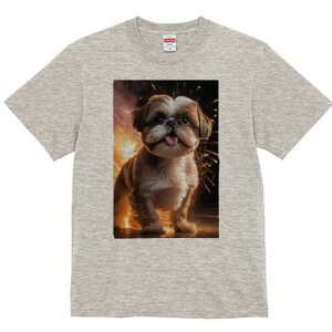 V[Y[ TVc  j[NfUCfB[X t@  t vg lJWA 킢 lԗp Mtg I ҏ΍ ԉ V[Y[ Xp[N