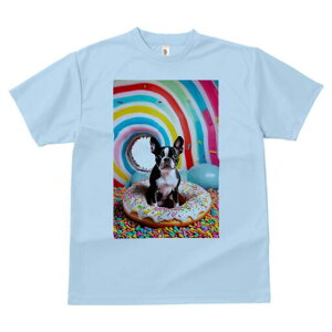 {XgeA TVc  j[NfUCfB[X t@  t vg lJWA 킢 lԗp Mtg I ҏ΍ h[ic {XgeA XvN L