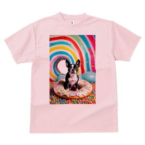 {XgeA TVc  j[NfUCfB[X t@  t vg lJWA 킢 lԗp Mtg I ҏ΍ h[ic {XgeA XvN L