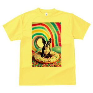 {XgeA TVc  j[NfUCfB[X t@  t vg lJWA 킢 lԗp Mtg I ҏ΍ h[ic {XgeA XvN L