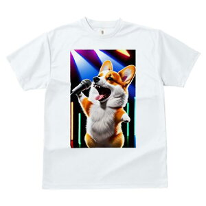 R[M[ TVc  j[NfUCfB[X t@  t vg lJWA 킢 lԗp Mtg I ҏ΍ Xe[W R[M[ }CN Cg