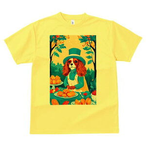 LoA TVc  j[NfUCfB[X t@  t vg lJWA 킢 lԗp Mtg I ҏ΍ Xq LoA eB[p[eB[ َq 