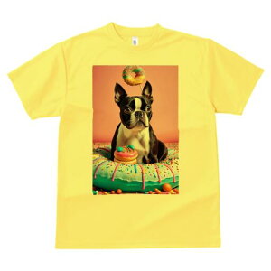 {XgeA TVc  j[NfUCfB[X t@  t vg lJWA 킢 lԗp Mtg I ҏ΍ h[ic {XgeA XC[c َq 