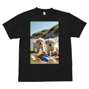 S[fgo[ TVc  j[NfUCfB[X t@  t vg lJWA 킢 lԗp Mtg I ҏ΍ r[` S[fgo[ C  