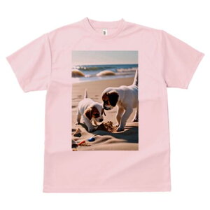 WbNbZeA TVc  j[NfUCfB[X t@  t vg lJWA 킢 lԗp Mtg I ҏ΍ r[` WbNbZeA 