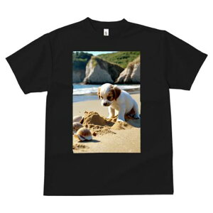 LoA TVc  j[NfUCfB[X t@  t vg lJWA 킢 lԗp Mtg I ҏ΍ r[` LoA C  Lk