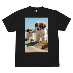 LoA TVc  j[NfUCfB[X t@  t vg lJWA 킢 lԗp Mtg I ҏ΍ r[` LoA C 