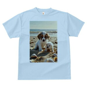 WbNbZeA,S[fgo[ TVc  j[NfUCfB[X t@  t vg lJWA 킢 lԗp Mtg I ҏ΍ r[` W