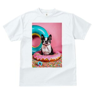 {XgeA TVc  j[NfUCfB[X t@  t vg lJWA 킢 lԗp Mtg I ҏ΍ h[ic {XgeA XvN 