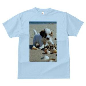 WbNbZeA TVc  j[NfUCfB[X t@  t vg lJWA 킢 lԗp Mtg I ҏ΍ r[` WbNbZeA 