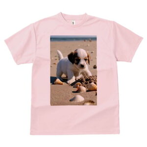 WbNbZeA TVc  j[NfUCfB[X t@  t vg lJWA 킢 lԗp Mtg I ҏ΍ r[` WbNbZeA 