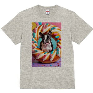 {XgeA TVc  j[NfUCfB[X t@  t vg lJWA 킢 lԗp Mtg I ҏ΍ h[ic {XgeA XC[c L