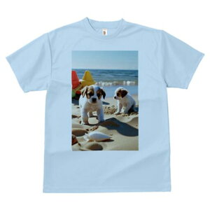 WbNbZeA TVc  j[NfUCfB[X t@  t vg lJWA 킢 lԗp Mtg I ҏ΍ r[` WbNbZeA 