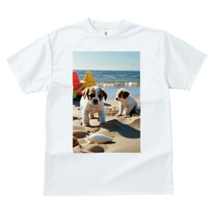 WbNbZeA TVc  j[NfUCfB[X t@  t vg lJWA 킢 lԗp Mtg I ҏ΍ r[` WbNbZeA 