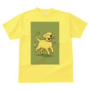 uh[go[ TVc  j[NfUCfB[X t@  t vg lJWA 킢 lԗp Mtg I ҏ΍  uh[go[ 