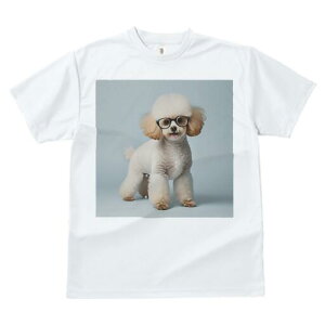 v[h TVc  j[NfUCfB[X t@  t vg lJWA 킢 lԗp Mtg I ҏ΍ Kl v[h