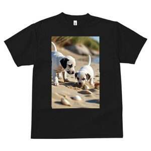 _VA TVc  j[NfUCfB[X t@  t vg lJWA 킢 lԗp Mtg I ҏ΍ l _VA Lk