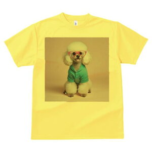 v[h TVc  j[NfUCfB[X t@  t vg lJWA 킢 lԗp Mtg I ҏ΍ Kl v[h 