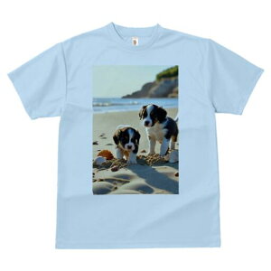 {[_[R[ TVc  j[NfUCfB[X t@  t vg lJWA 킢 lԗp Mtg I ҏ΍ r[` {[_[R[ C  Lk