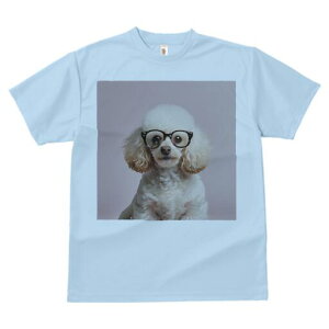 gCv[h TVc  j[NfUCY LbY t@  t vg lJWA 킢 lԗp Mtg I ҏ΍ Kl gCv[h