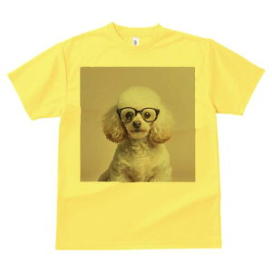 gCv[h TVc  j[NfUCfB[X t@  t vg lJWA 킢 lԗp Mtg I ҏ΍ Kl gCv[h