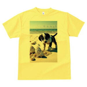 _VA TVc  j[NfUCfB[X t@  t vg lJWA 킢 lԗp Mtg I ҏ΍ r[` _VA C l Lk