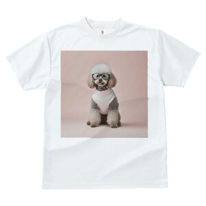 gCv[h TVc  j[NfUCfB[X t@  t vg lJWA 킢 lԗp Mtg I ҏ΍ Kl gCv[h Z[^[