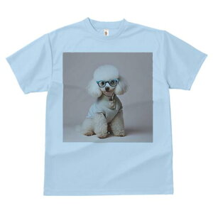 gCv[h TVc  j[NfUCfB[X t@  t vg lJWA 킢 lԗp Mtg I ҏ΍ Kl gCv[h Z[^[