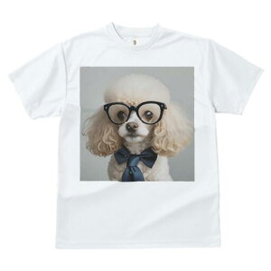 gCv[h TVc  j[NfUCfB[X t@  t vg lJWA 킢 lԗp Mtg I ҏ΍ Kl gCv[h lN^C