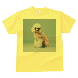 v[h TVc  j[NfUCfB[X t@  t vg lJWA 킢 lԗp Mtg I ҏ΍ Kl v[h Z[^[