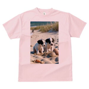 WbNbZeA TVc  j[NfUCfB[X t@  t vg lJWA 킢 lԗp Mtg I ҏ΍ r[` WbNbZeA 