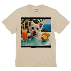 EGXgnChzCgeA TVc  j[NfUCfB[X t@  t vg lJWA 킢 lԗp Mtg I ҏ΍ W[X EGXgnC