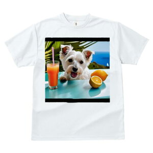 �E�G�X�g�n�C�����h�z���C�g�e���A T�V���c ���� ���j�[�N�f�U�C�����f�B�[�X ���t�@�� ���� �t�� �v�����g ��l�J�W���A�� ���킢�� �l�ԗp �M�t�g ���I �ҏ��΍� �W���[�X �E�G�X�g�n�C