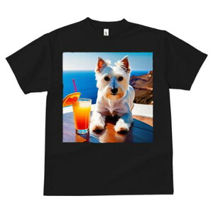 EGXgnChzCgeA TVc  j[NfUCY LbY t@  t vg lJWA 킢 lԗp Mtg I ҏ΍ JNe EGXg