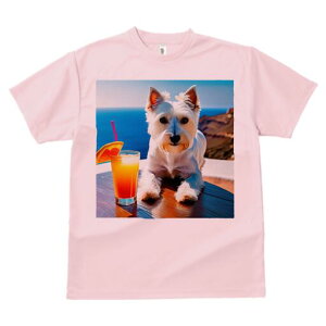 EGXgnChzCgeA TVc  j[NfUCfB[X t@  t vg lJWA 킢 lԗp Mtg I ҏ΍ JNe EGXgnC