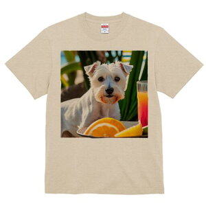 EGXgnChzCgeA TVc  j[NfUCfB[X t@  t vg lJWA 킢 lԗp Mtg I ҏ΍ IW EGXgnC