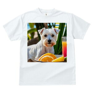 �E�G�X�g�n�C�����h�z���C�g�e���A T�V���c ���� ���j�[�N�f�U�C�����f�B�[�X ���t�@�� ���� �t�� �v�����g ��l�J�W���A�� ���킢�� �l�ԗp �M�t�g ���I �ҏ��΍� �I�����W �E�G�X�g�n�C